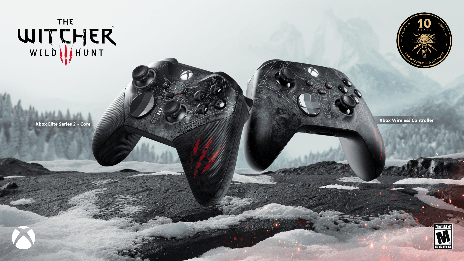 The Witcher 3: Wild Hunt Special Edition Xbox controllers