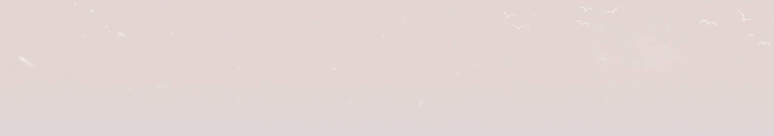 background decoration